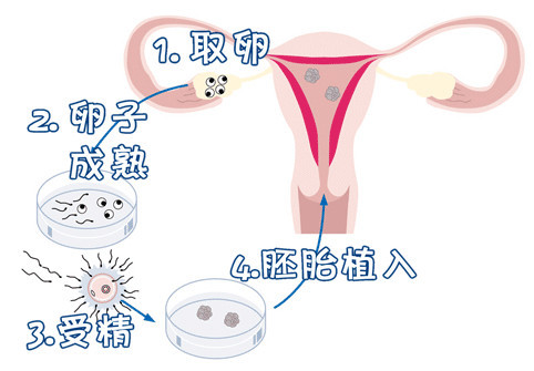 李景泰主任